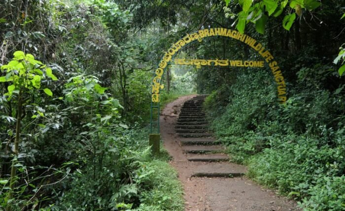 Brahamagiri Trek Coorg