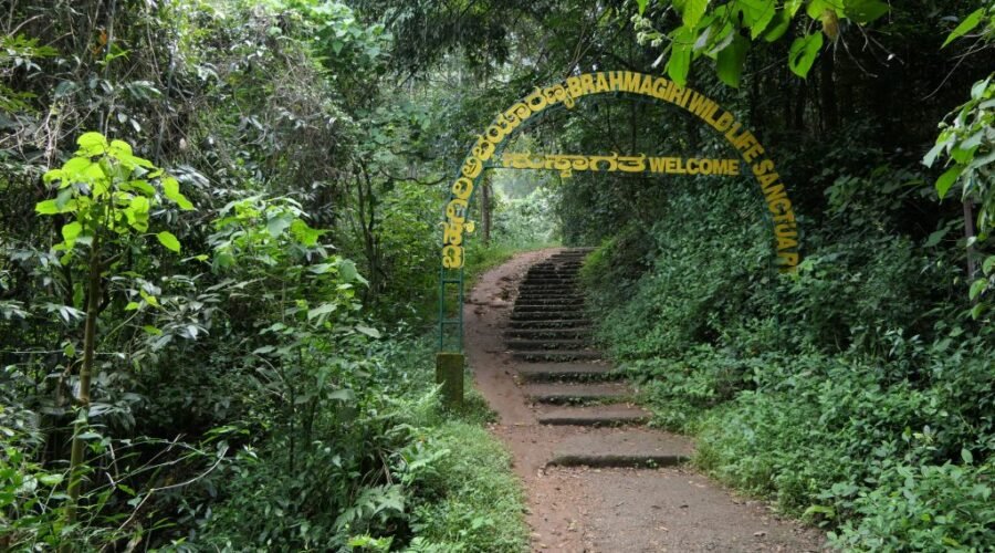 Brahamagiri Trek Coorg