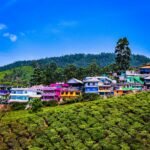 Places in Munnar for One Day Trip