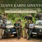 Bangalore to Kabini one day trip with safari — elephant herd at Nagarhole Tiger Reserve